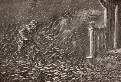 A Shower of Fish in Transylvania, Romania by English School